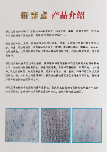 彩點(diǎn)（新彩點(diǎn)）