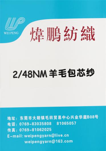 2/48NM羊毛包芯紗