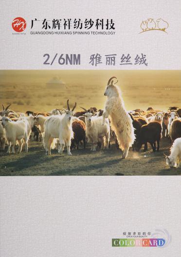 2/6NM雅麗絲絨
