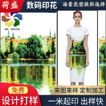 【廠家定制】2021新款山水倒映數(shù)碼印花 雪紡面料 時(shí)裝連衣裙女裝