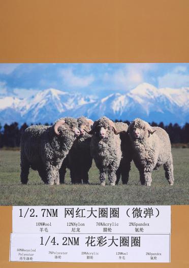 1/4.2NM花彩大圈圈