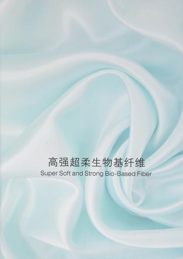 85NM/3雅賽絲
