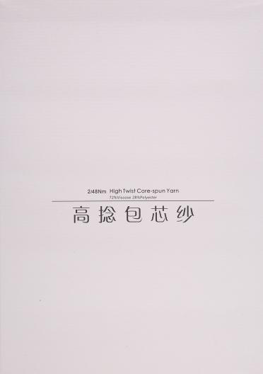 2/48NM 高捻包芯紗