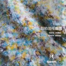 段染羽毛圈圈紗