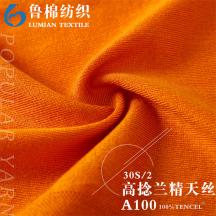 30S/2高捻蘭精天絲A100 