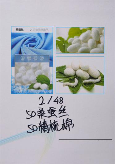 2/48 50%桑蠶絲 50%精梳棉