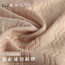 2/50抗起球包芯紗