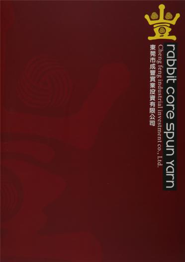 2/48 長毛包芯紗