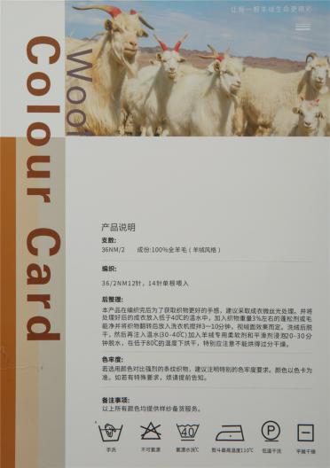 2/36NM全羊毛