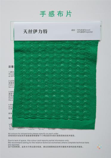 54NM/2抗起球高捻天絲伊力特