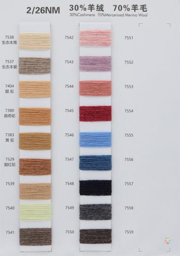 2/26NM 30%羊絨70%羊毛