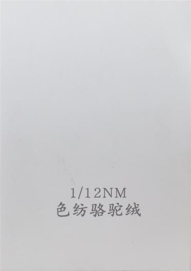 1/12NM 色紡駱駝絨