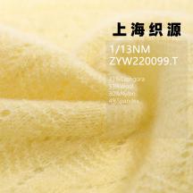 1/13NM ZYW220099.T