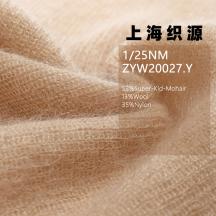 1/25NM ZYW20027.Y