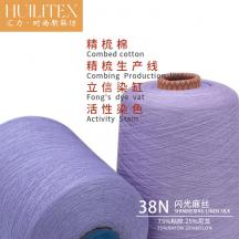 38N 閃光麻絲 75%粘膠 25%尼龍