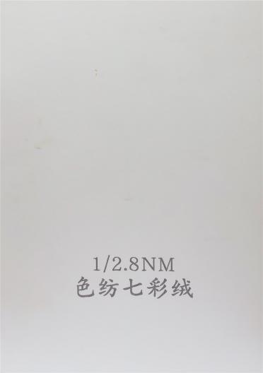 1/2.8NM色紡七彩絨