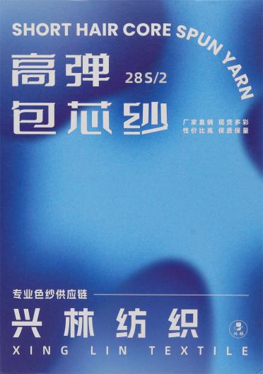 28S/2 高彈包芯紗