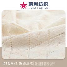45NM/2 沃姆羊毛