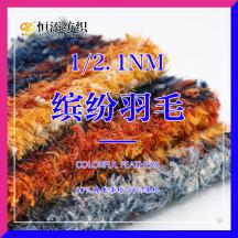 1/2.1NM 繽紛羽毛