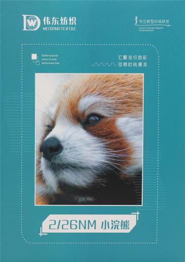 16NM/1 小浣熊