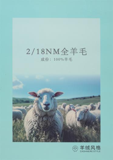 2/18NM 全羊毛