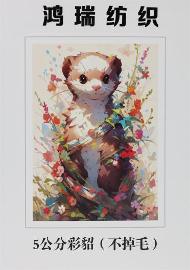 5公分彩貂（不掉毛）