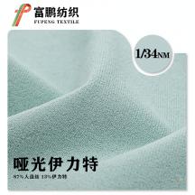 1/34NM 啞光伊力特