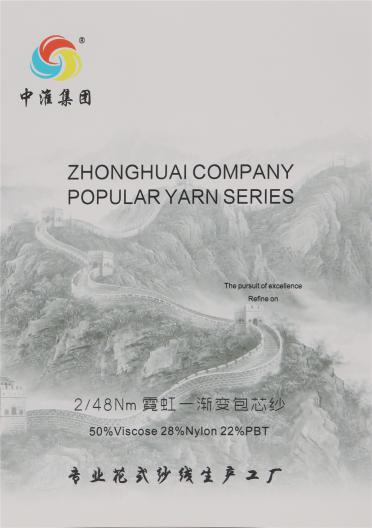 2/48Nm 漸變包芯紗
