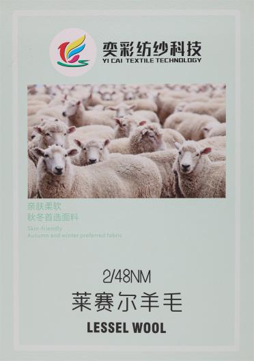 2/48NM 萊賽爾羊毛
