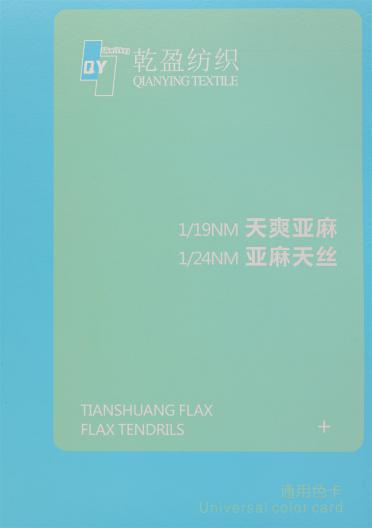 1/19NM 天爽亞麻