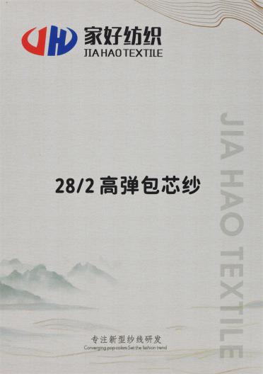 28/2 高彈包芯紗