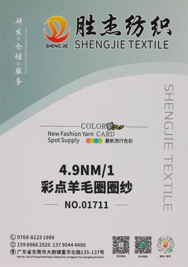 4.9NM/1 彩點羊毛圈圈紗