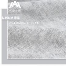 1/45NM 青花