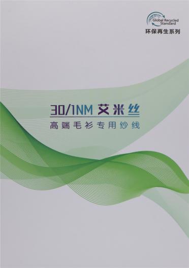 1/30NM艾米絲