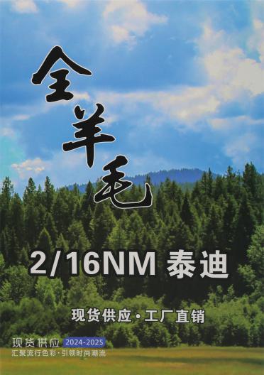 2/16NM 泰迪（精紡100%全羊毛）