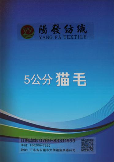 5公分 貓毛