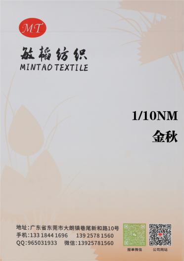1/10NM 金秋