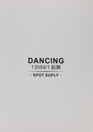 13NM/1 起舞