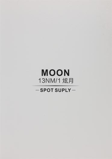 13NM/1 炫月