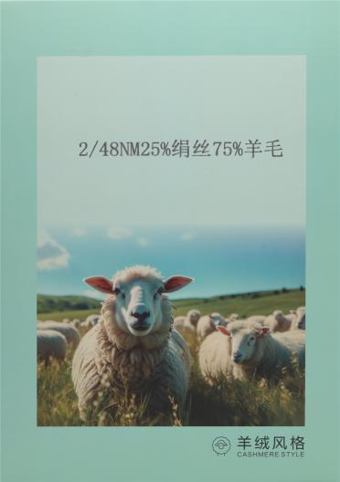 2/48NM 羊毛絹絲