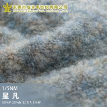 1/5NM 星凡