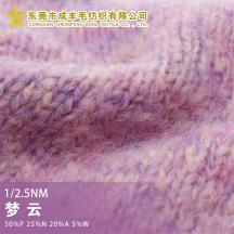 1/2.5NM 夢云