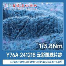1/3.8Nm Y76A-241218 云彩飄珠片紗