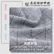 2/48NM 天絲羊毛