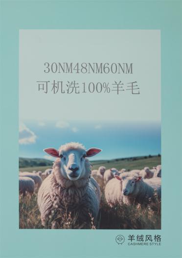 2/30NM 2/48NM 2/60NM 可機(jī)洗100%羊毛