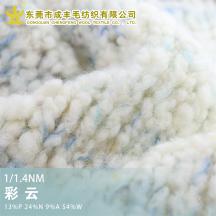 1/1.4NM 彩云