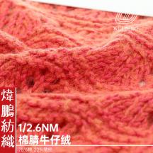 1/2.6NM 棉腈牛仔絨