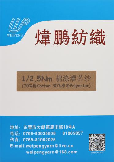 1/2.5NM 棉滌灌心紗