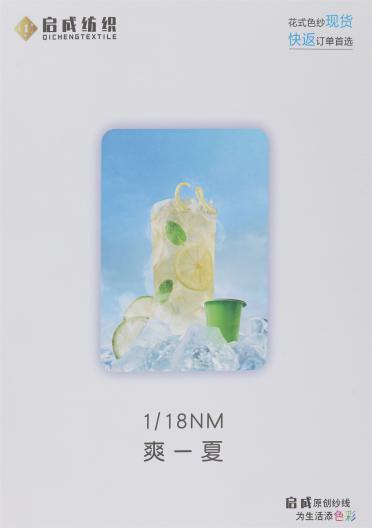 1/18NM 爽一夏