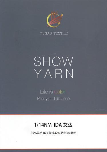 IDA 艾達(dá)
